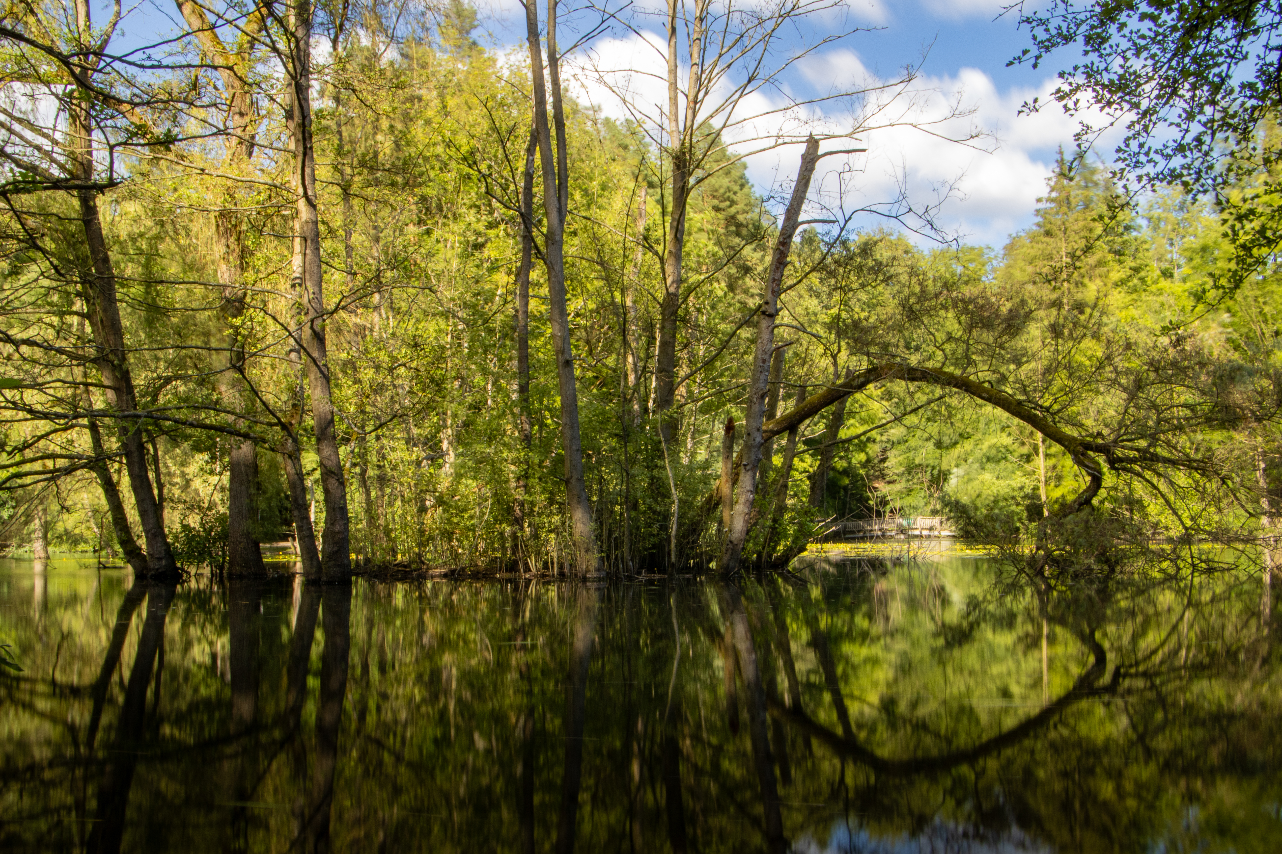 Hexenteich in Menden