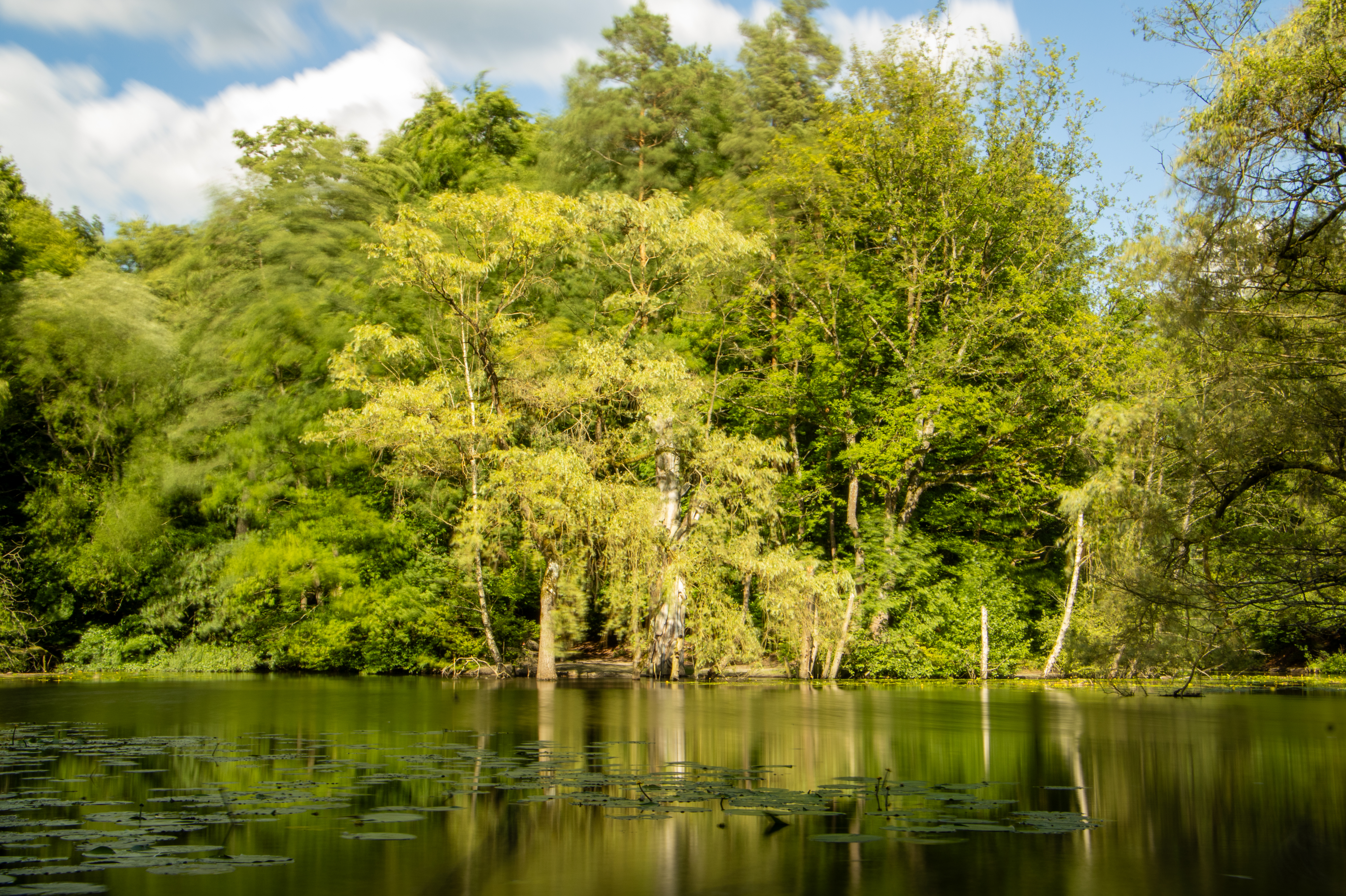 Hexenteich in Menden