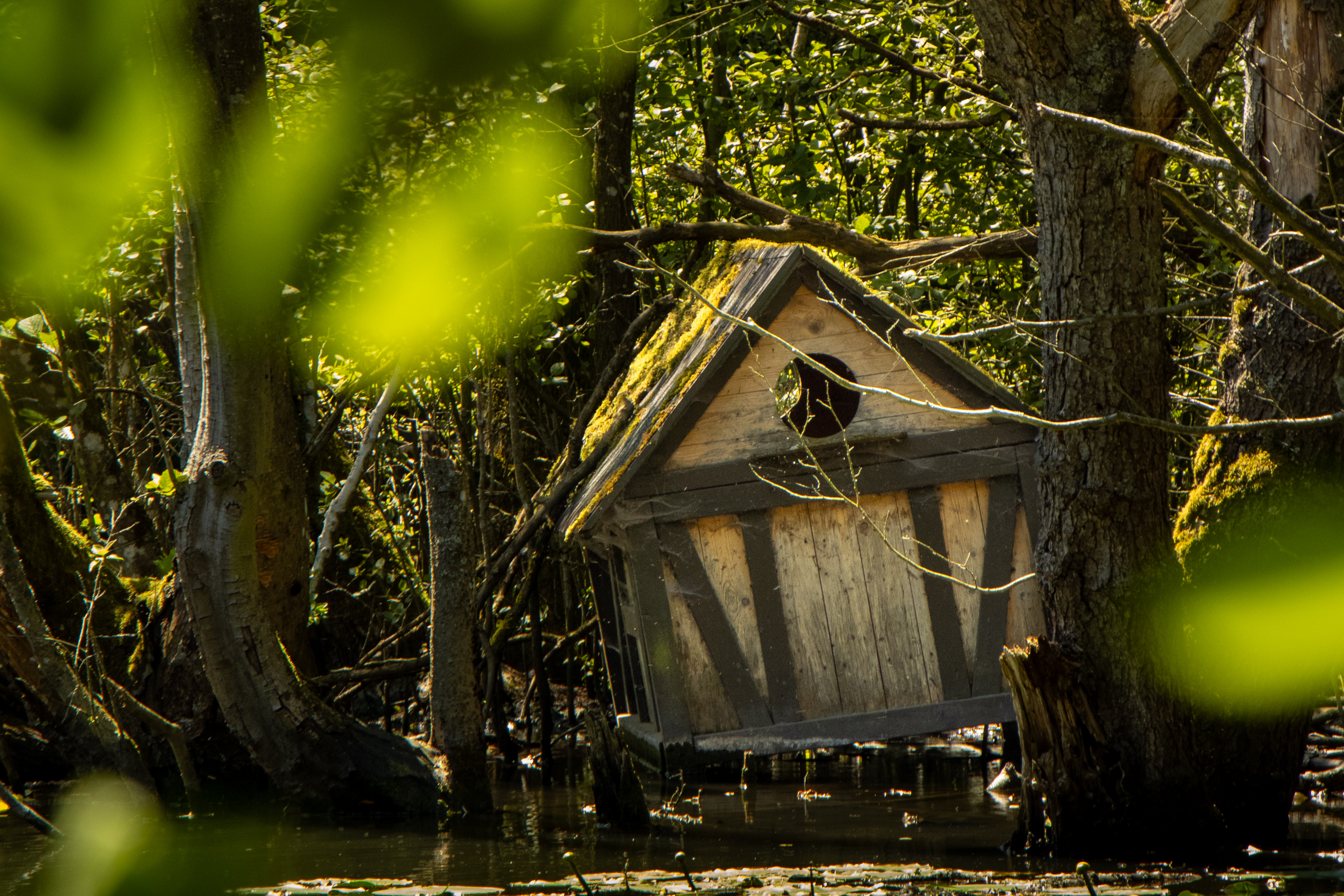 Verstecktes Hexenhäuschen am Hexenteich in Menden